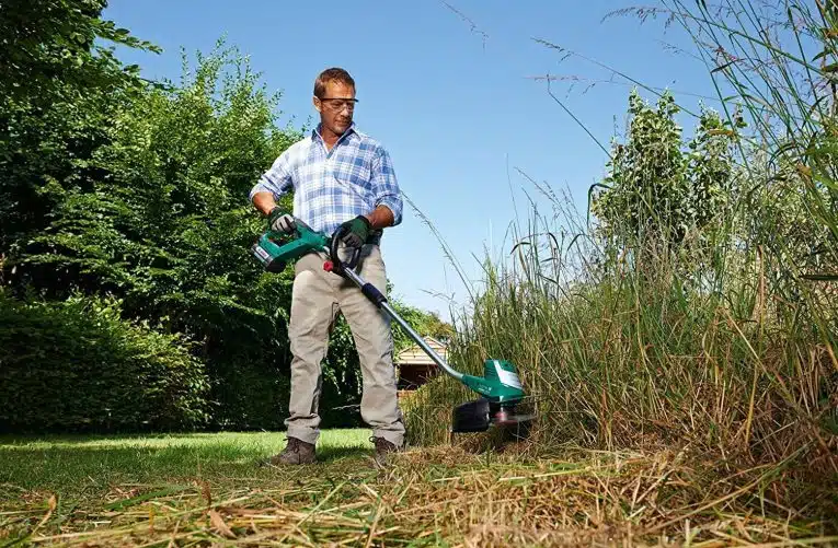 Que faut-il faire pour embellir ses bordures de jardin ?