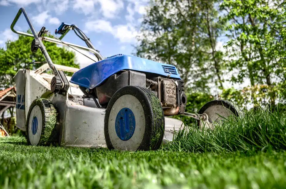 Tondeuse électrique : quelle est la meilleure en 2019 pour son jardin ?